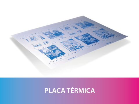 Placa trmica